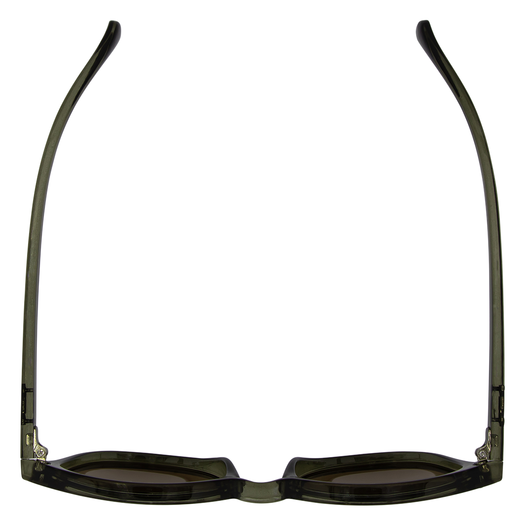 Risky Business Polarised Clear Frame Green & Brown Round Sunglasses top view