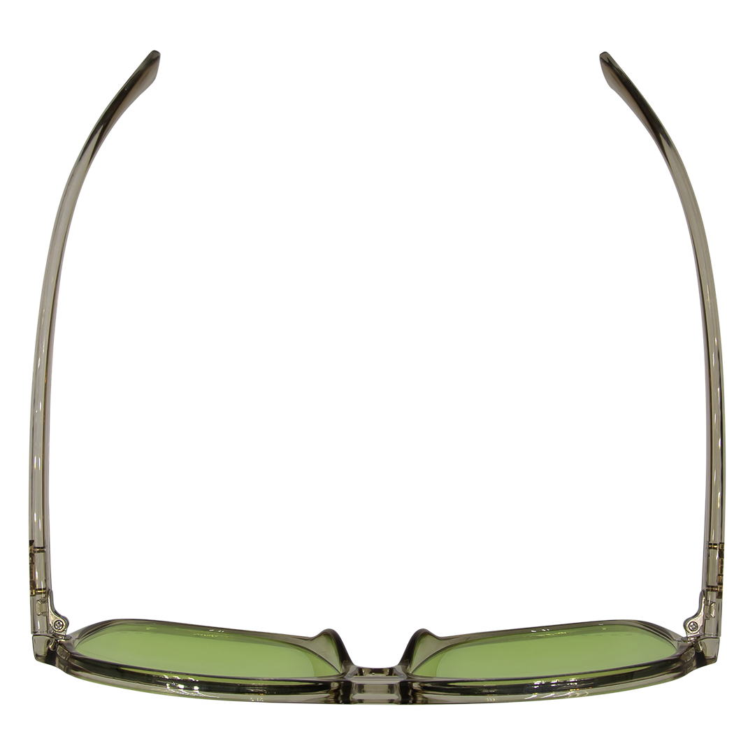 THE DUKE Aviator Sunglasses with Crystal Sage Frame and Green lens top view