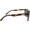 Skylark Polarised Rectangle Sunglasses with Tortoise Shell Frame right view