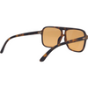 THE DUKE Aviator Sunglasses with Tortoise Shell Frame and Brown lens back right view