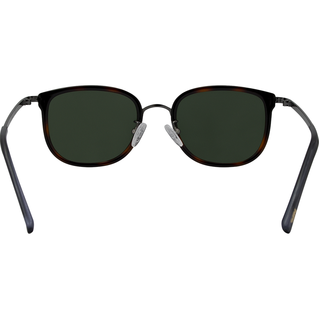 Tommy Polarised Tortoise Shell Round Sunglasses rear view