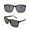 Skylark Polarised Rectangle Sunglasses with Black Tortoise Shell Frame measurements