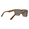 Vespa II Polarised Square Sunglasses with Brown Frame back right view